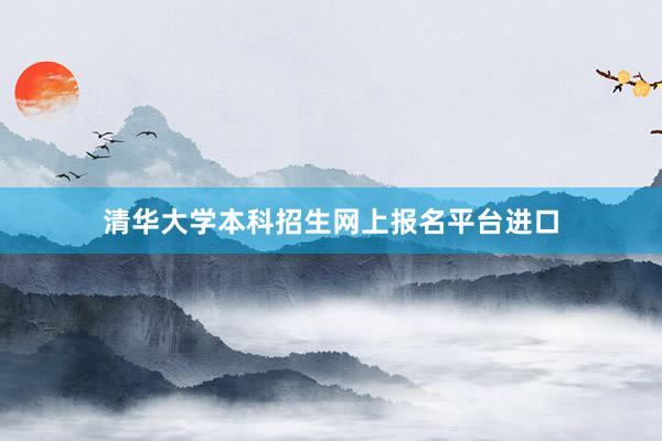 清华大学本科招生网上报名平台进口