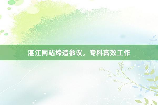 湛江网站缔造参议，专科高效工作