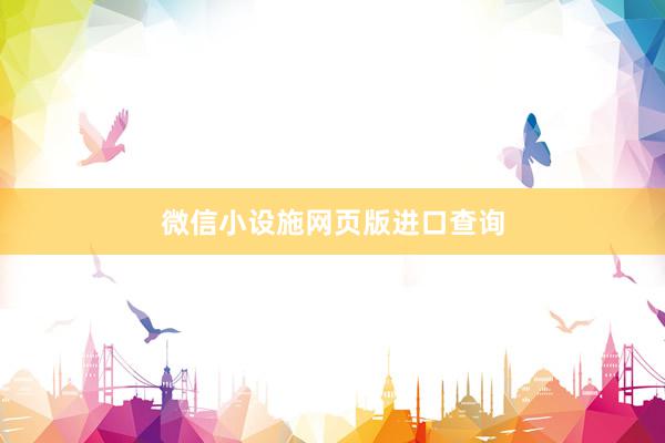 微信小设施网页版进口查询