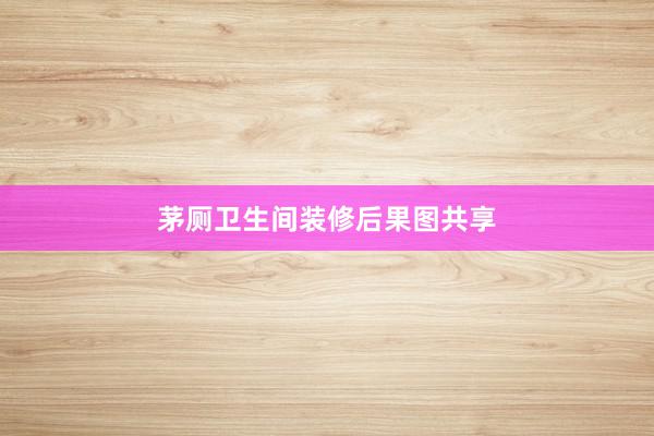 茅厕卫生间装修后果图共享