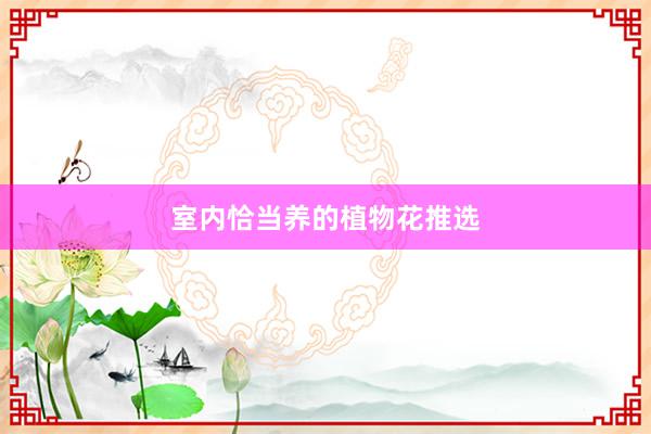 室内恰当养的植物花推选