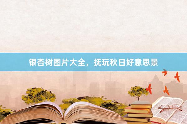 银杏树图片大全，抚玩秋日好意思景